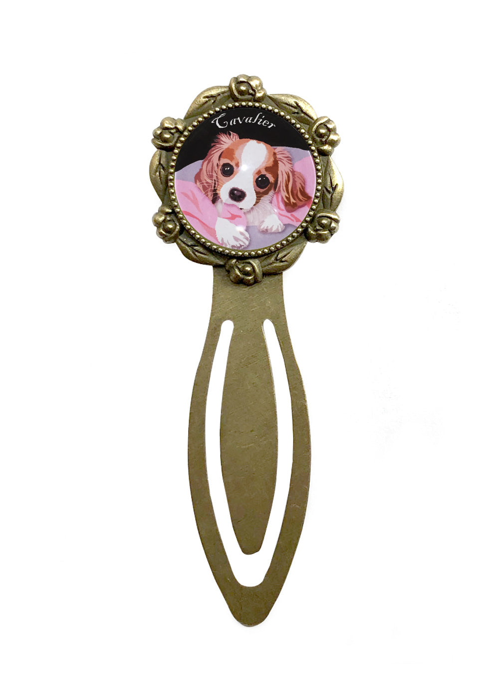 犬 栞