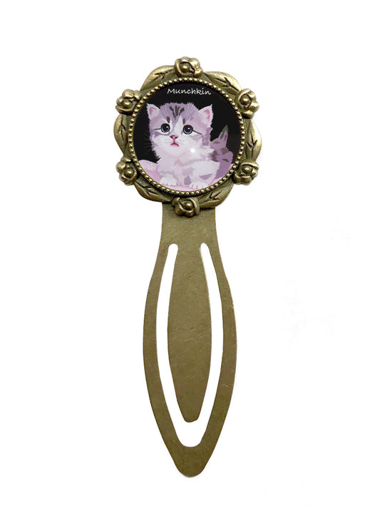 猫 栞
