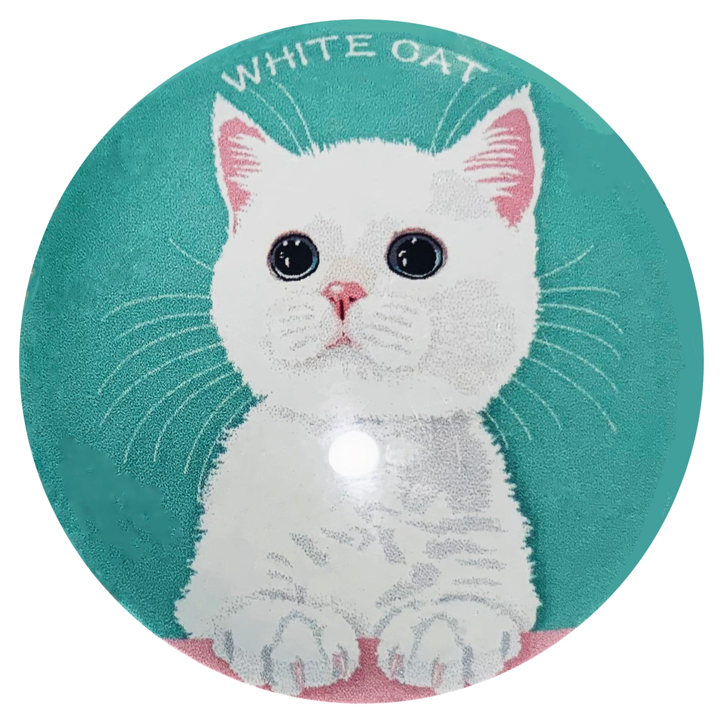 マグネット猫 白猫1 猫マグネット 冷蔵庫 メモマグネット