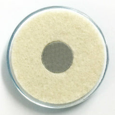 マグネット 犬 toy poodle 5 犬 メモクリップ マグネット 犬クリップ トイプードル