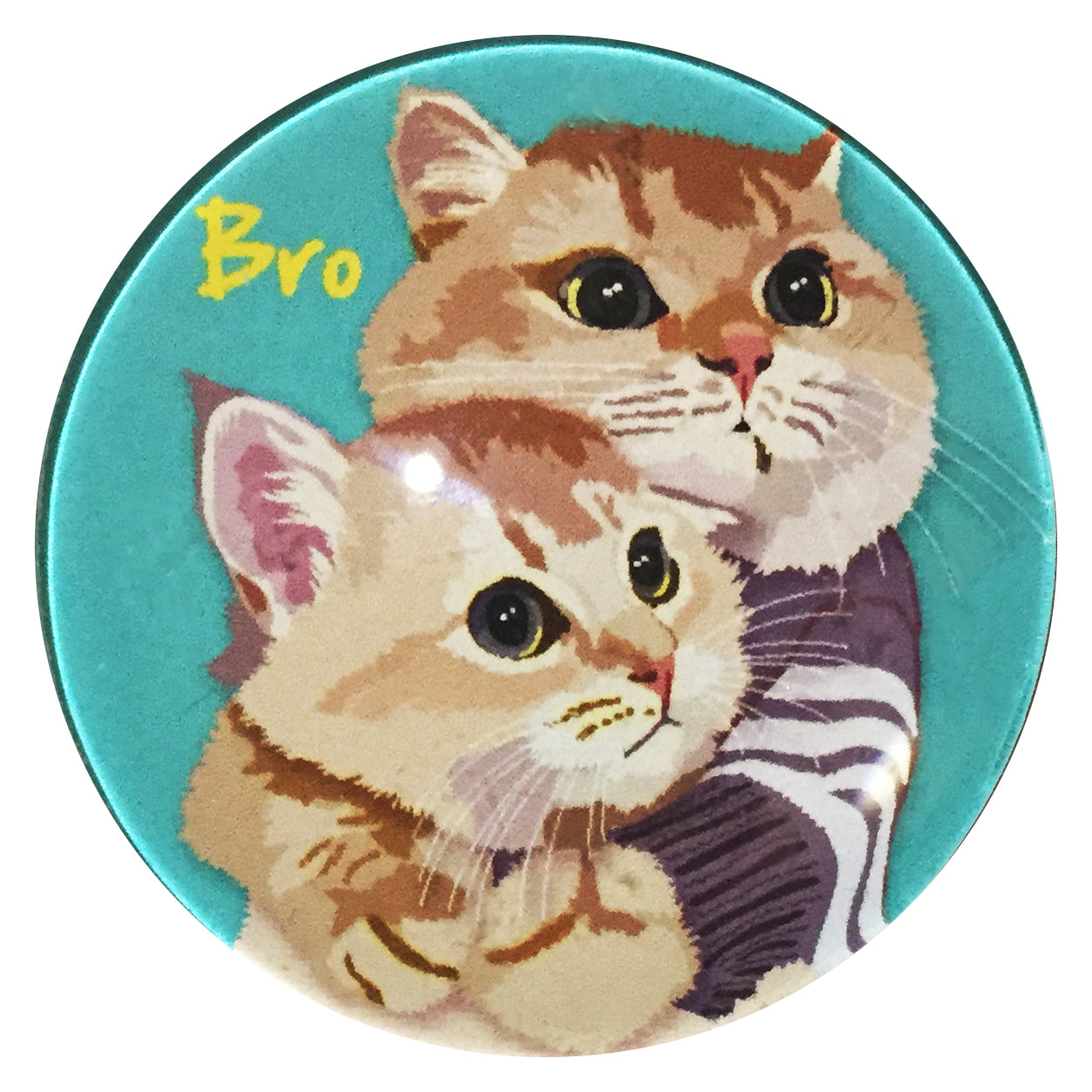 マグネット猫 Bro1 猫マグネット 冷蔵庫 メモマグネット