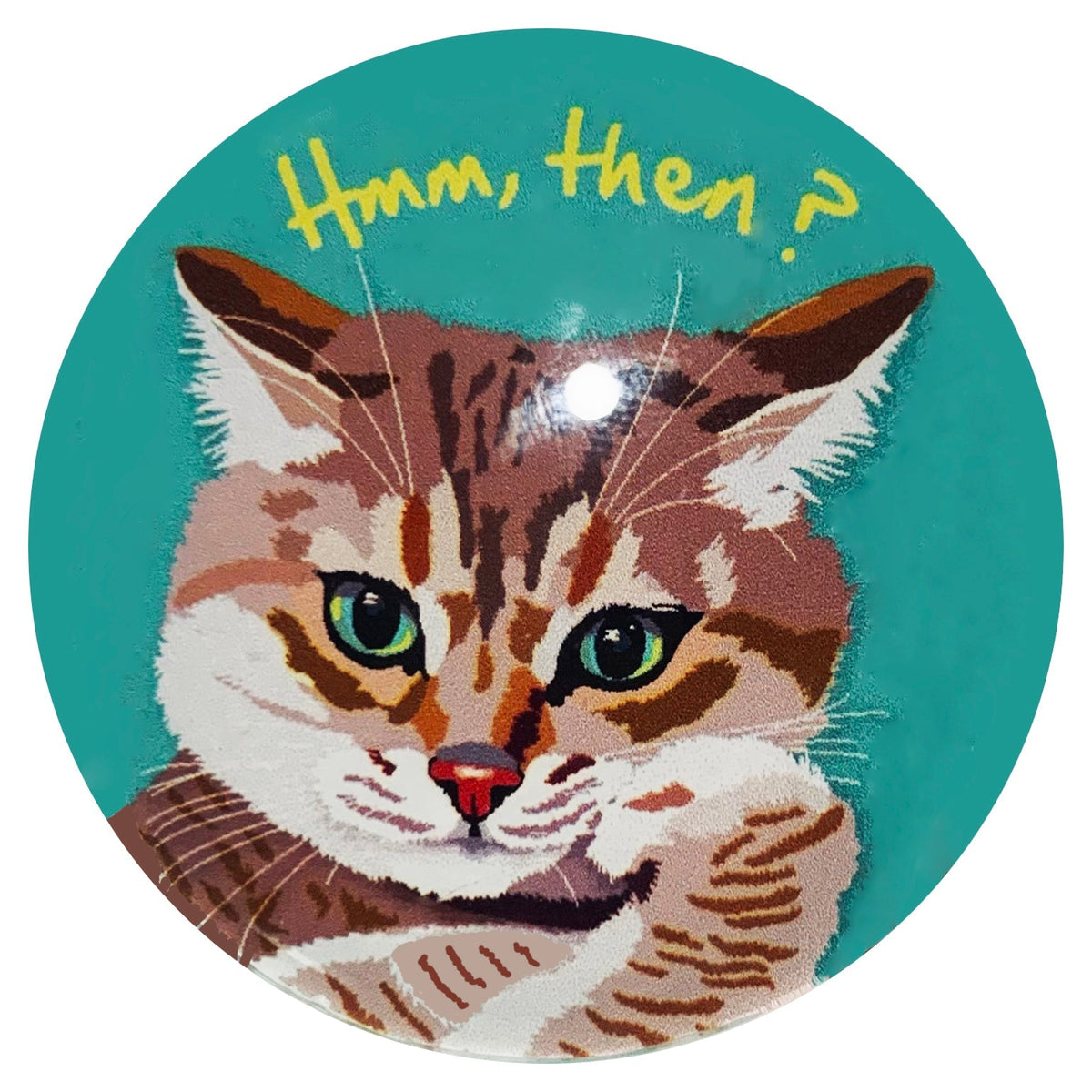 マグネット猫 それから？1 猫マグネット 冷蔵庫 メモマグネット