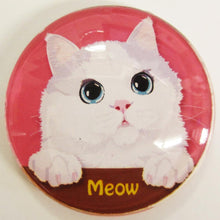 画像をギャラリービューアに読み込む, 猫 マグネット ミャオ Cat meow 猫 イラスト Cat magnet
