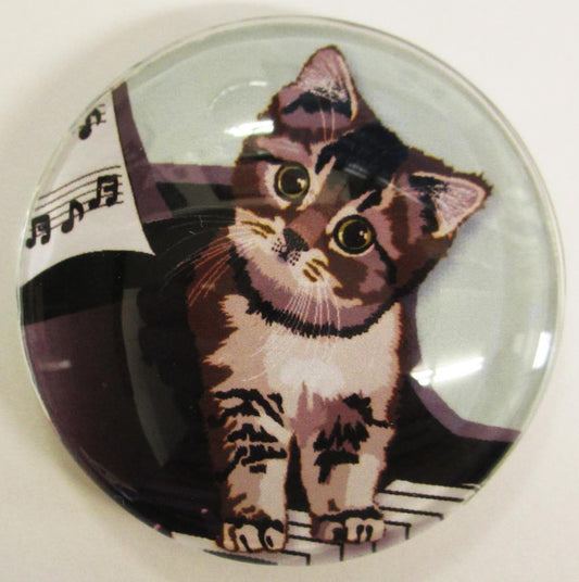 猫 マグネット ピアノ Cat piano 猫 イラスト Cat magnet