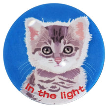 画像をギャラリービューアに読み込む, マグネット猫 光の中の猫 BL 猫マグネット 冷蔵庫 メモマグネット マグネット猫
