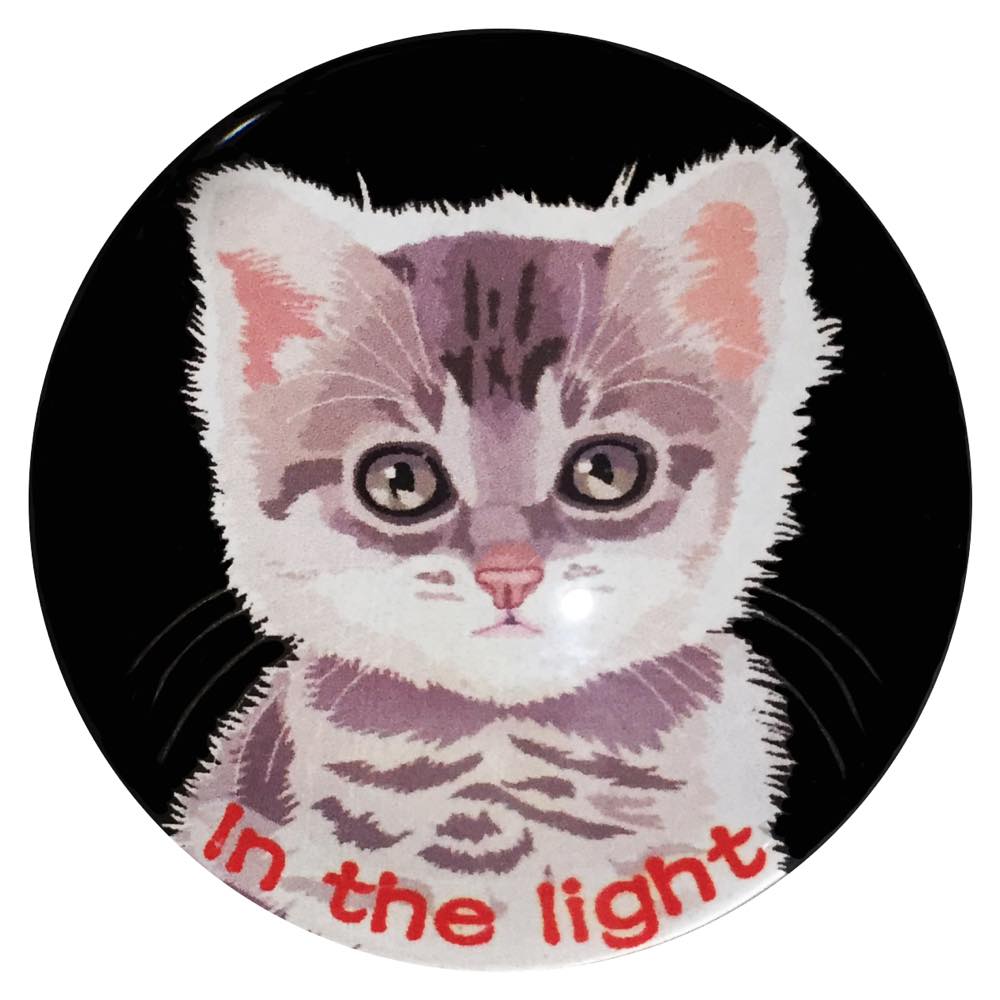 マグネット猫 光の中の猫 BK 猫マグネット 冷蔵庫 メモマグネット マグネット猫