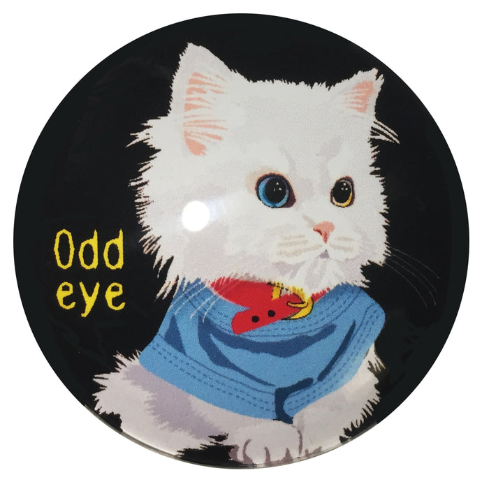 マグネット猫 Odd eye bk 猫 猫マグネット 冷蔵庫 メモマグネット