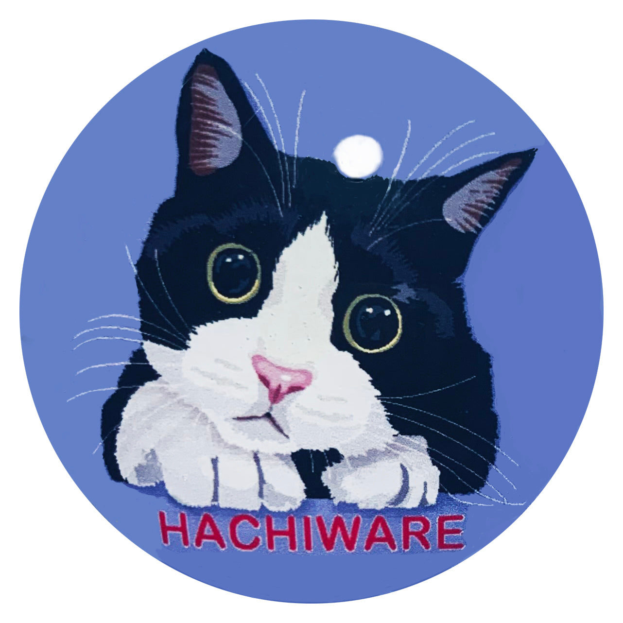 マグネット猫 hachiware2 猫マグネット 冷蔵庫 メモマグネット