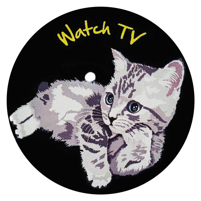 マグネット 子猫