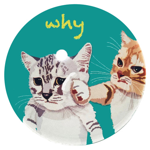 マグネット 子猫